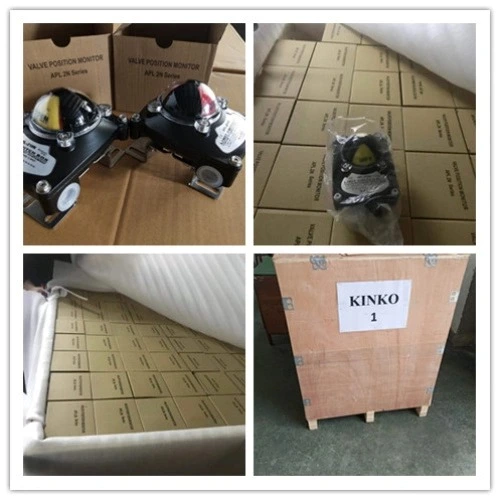 Interruptor de límite a prueba de explosiones con indicador de válvula